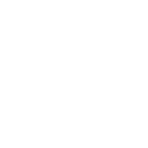 ICSS